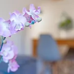 Haus Carpe Diem Strandnest Appartement